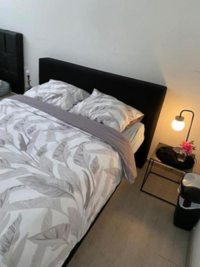 Beautiful Big Apartment in Central Antwerp
